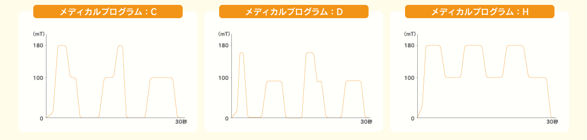 テスラメイトSXのメディカルプログラムパターン図