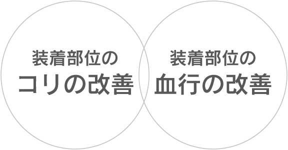 テスラメイトEXの効能イメージ画像